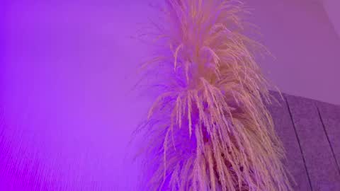 Liiam Luna online show from 20, 4, 2026