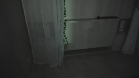 Snapshot of liiavega chatting on 16, 12, 2025 online show from 16, 12, 2025