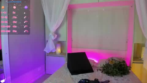         online show from 2, 2, 2026