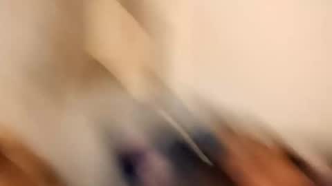 Snapshot of likdatass69247 chatting on 28, 12, 2024 likdatass69247 online show from 28, 12, 2024