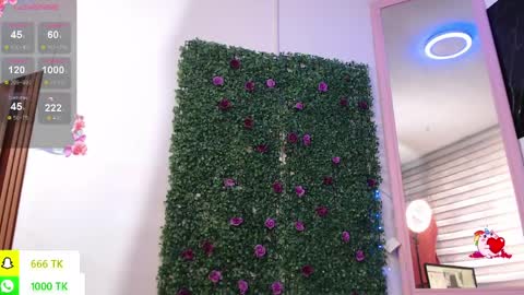   online show from 6, 4, 2026