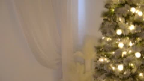 Snapshot of lilbeccaxo chatting on 17, 12, 2025 Rebecca online show from 17, 12, 2025