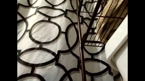 lilcalvo1 online show from 18, 3, 2026