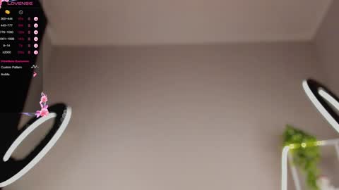 Snapshot of lili__roze_ chatting on 31, 1, 2025 lili__roze_ online show from 31, 1, 2025