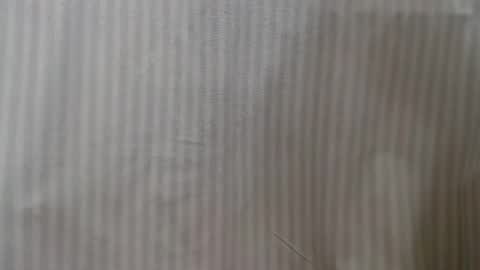 Snapshot of lillkit chatting on 12, 2, 2025 Lilu online show from 12, 2, 2025