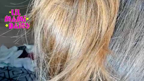 Daisy Bby online show from 16, 3, 2026