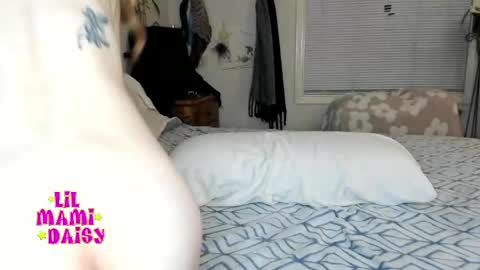 Snapshot of lilmamidaisy chatting on 10, 5, 2026 Daisy Bby online show from 10, 5, 2026