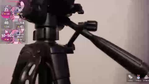 Snapshot of lily_beet chatting on 7, 11, 2025 Lily online show from 7, 11, 2025