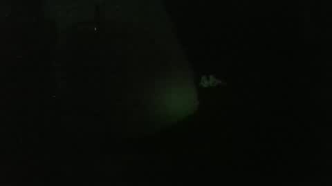 Snapshot of lily_lovelyman_ chatting on 26, 12, 2024 lily lovelyman online show from 26, 12, 2024