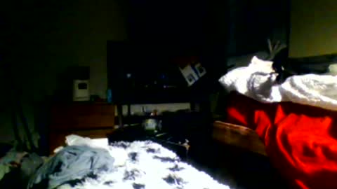 Richie Rich online show from 30, 12, 2024