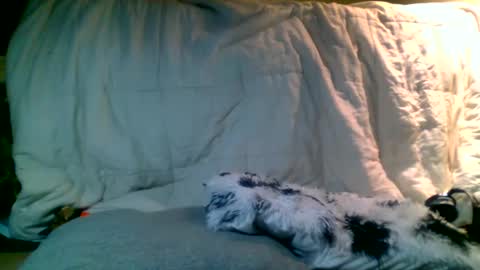 Richie Rich online show from 13, 1, 2025