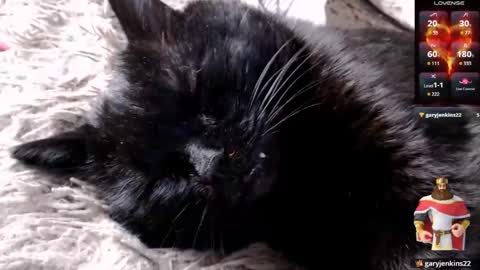 Lena online show from 24, 4, 2026