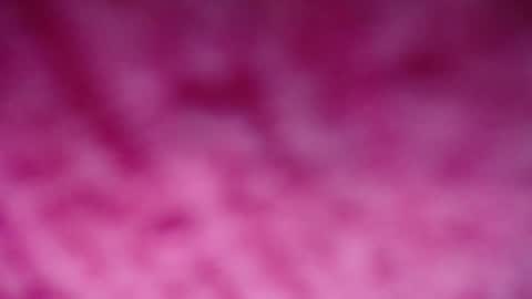 lindsey_2023 online show from 29, 12, 2024