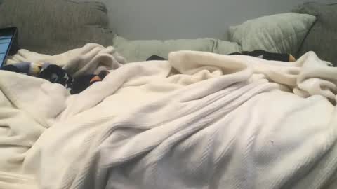 lingeriesissy12 online show from 13, 2, 2025