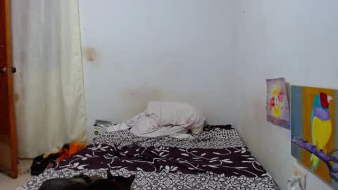 Snapshot of lion_grr chatting on 16, 12, 2025 lion_grr online show from 16, 12, 2025