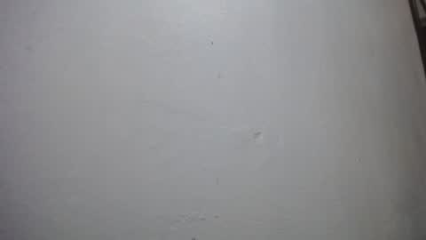 lisa_branch online show from 29, 11, 2025