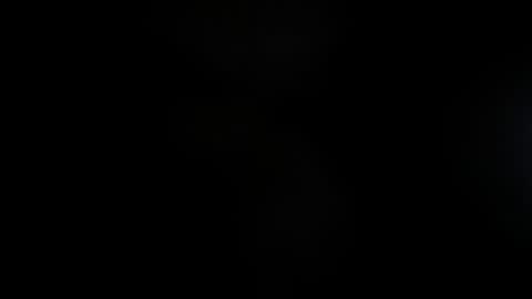 Snapshot of lisa_gerrard_ chatting on 23, 11, 2025 Lisa online show from 23, 11, 2025