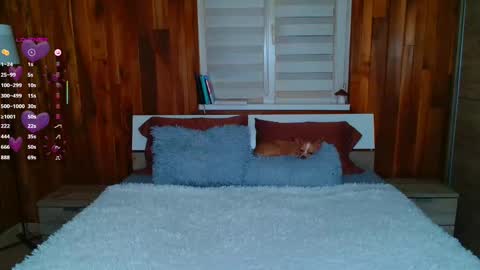 Snapshot of lisa_tease chatting on 11, 2, 2025 Lisa online show from 11, 2, 2025