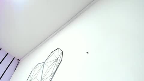 lisa white  online show from 19, 11, 2025