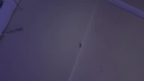 cristin online show from 25, 12, 2024