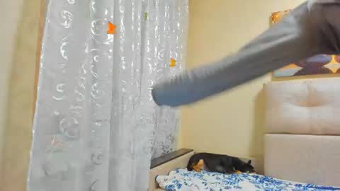 Lisasimsxs online show from 1, 8, 2026