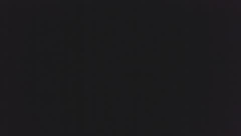 little_anef online show from 16, 12, 2024