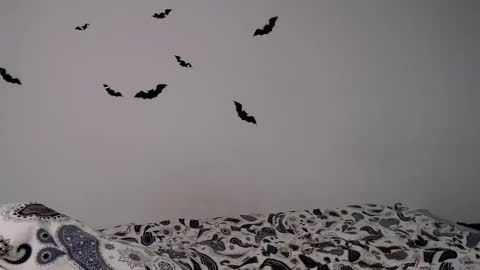 Alice.. online show from 9, 11, 2025