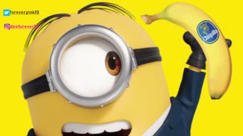 Snapshot of littlepinky77 chatting on 4, 12, 2024 Pinky online show from 4, 12, 2024