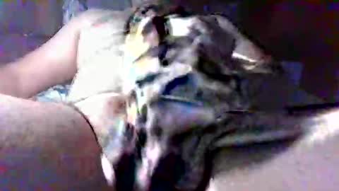 Snapshot of litwinpaweel chatting on 28, 10, 2025 litwinpaweel online show from 28, 10, 2025