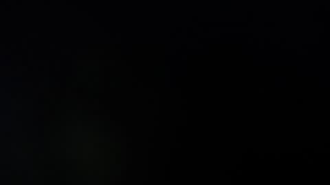 liza honey online show from 20, 1, 2025