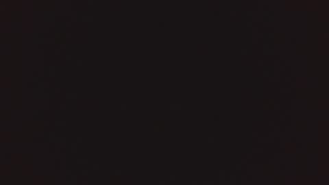 Snapshot of lnkn chatting on 4, 3, 2025 Lnkn online show from 4, 3, 2025