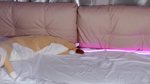 lolacash777 online show from 17, 2, 2026