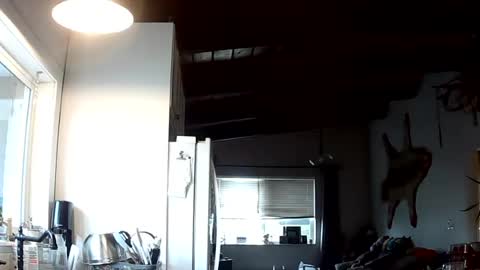 Lola Lixx online show from 14, 7, 2026