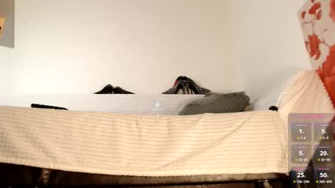 Miss Lolla online show from 27, 10, 2025