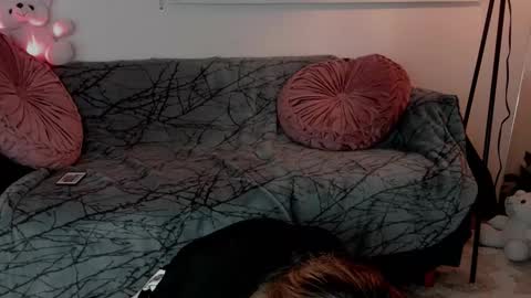 Snapshot of lollypetitte_ chatting on 24, 2, 2026 Lolly online show from 24, 2, 2026