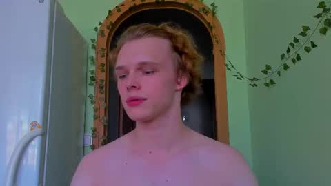 Nelis online show from 15, 7, 2026