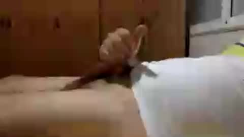 Handsome Cock online show from 30, 7, 2026