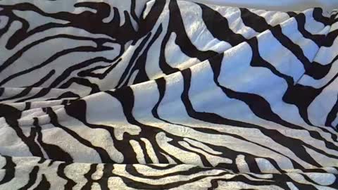 look_at_me_babe online show from 26, 1, 2025