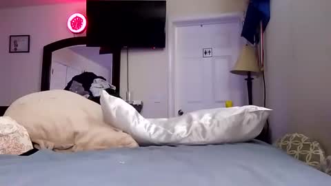 Snapshot of lookatmecum4you chatting on 18, 1, 2025 lookatmecum4you online show from 18, 1, 2025