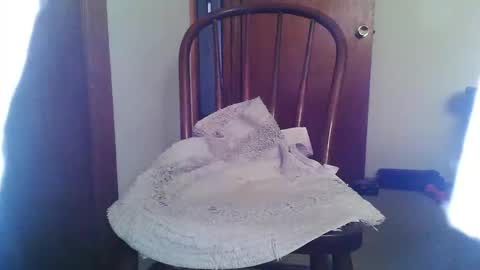 Snapshot of lookingforcougars500 chatting on 1, 11, 2025 lookingforcougars500 online show from 1, 11, 2025