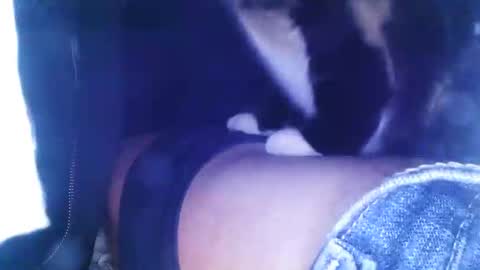 Snapshot of lookingforcougars500 chatting on 30, 11, 2025 lookingforcougars500 online show from 30, 11, 2025