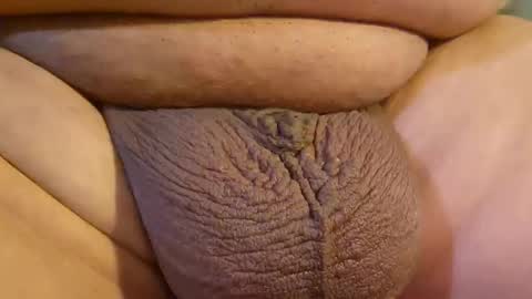 2791 3D online show from 14, 4, 2026