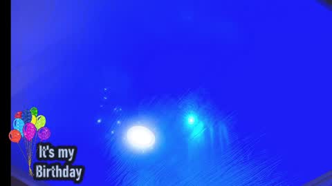 Loren online show from 10, 12, 2024