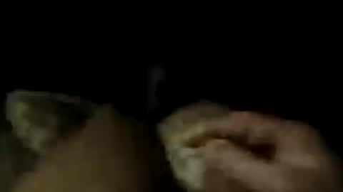 Snapshot of lostin69dremes chatting on 16, 7, 2026 LostinDremes online show from 16, 7, 2026