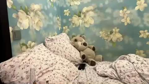 Sasha online show from 18, 7, 2026
