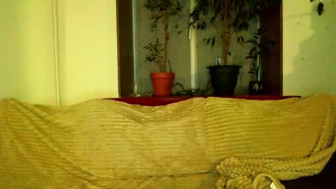 Cute face online show from 26, 1, 2025