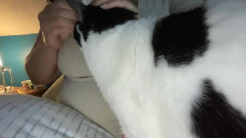 Snapshot of loveablekate chatting on 25, 4, 2026 Kate online show from 25, 4, 2026