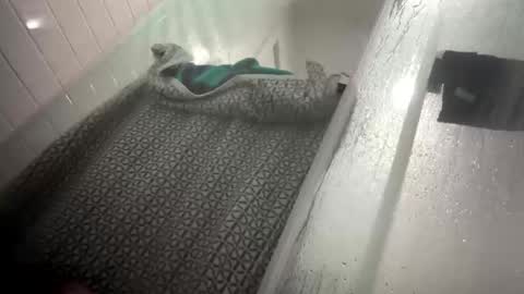 lovefeetonmyface29 online show from 22, 9, 2025