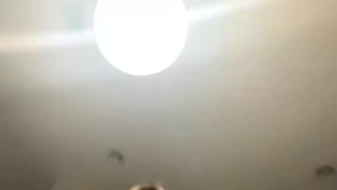 Love online show from 24, 1, 2025