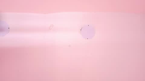 L O V E  online show from 12, 3, 2026